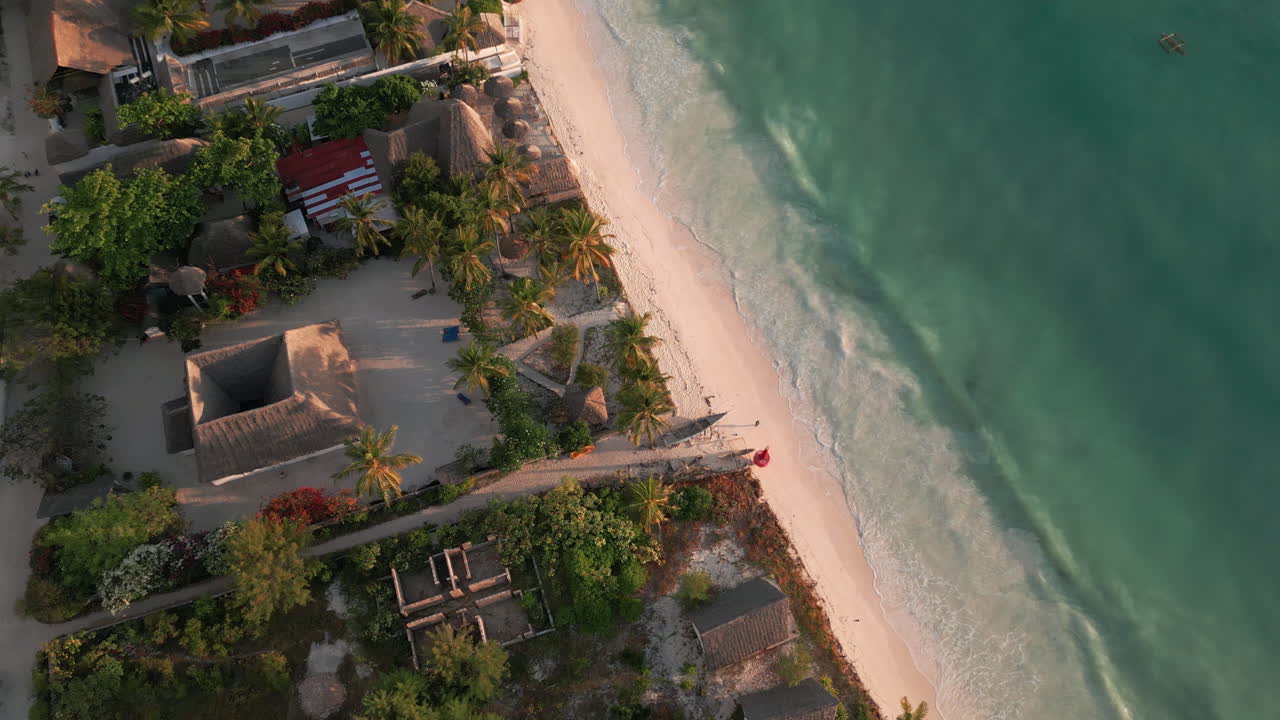 Bird's-eye view of a serene Zanzibar shoreline with palm trees
