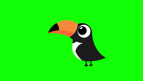 Tukan-Vogel-Symbol-Loop-Animationsvideo,-Transparenter-Hintergrund-Mit-Alphakanal.