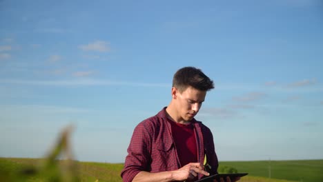 a plant specialist with tablet, checking the field soy a background of greenery. concept ecology, bio product, natural products