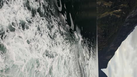 vertical - bottlenose dolphins swimming in the waters of milford sound, fiordland, new zealand