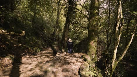 Una-Mujer-Caminando-Dentro-De-La-Reserva-Natural-De-Kennall-Vale,-Sitio-De-Los-Antiguos-Molinos-De-Polvo-En-Cornualles,-Reino-Unido