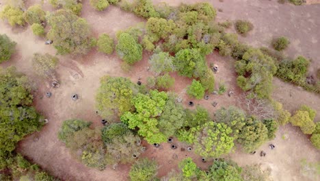 llanura de las jarras, phonsavanh, laos