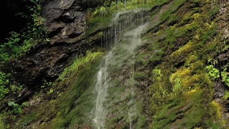 clean small waterfall in the forest. beautiful nature norway natural landscape.