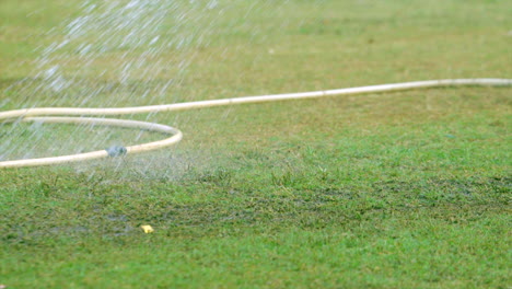 man is spraying water on the cricket ground garden with pipe slow motion