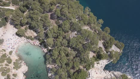 Luftaufnahme-Der-Mit-Wunderschöner-Vegetation-Geschmückten-Korsika-Klippe,-Oase