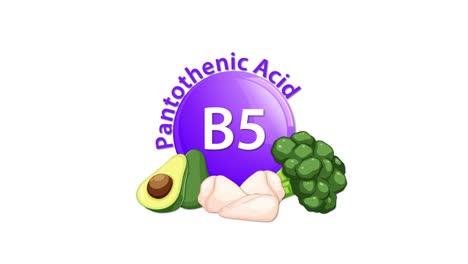 a purple vitamin b5 icon animates in, revealing the text 'pantothenic acid' and illustrated food sources including avocado, chicken, and broccoli on a white background