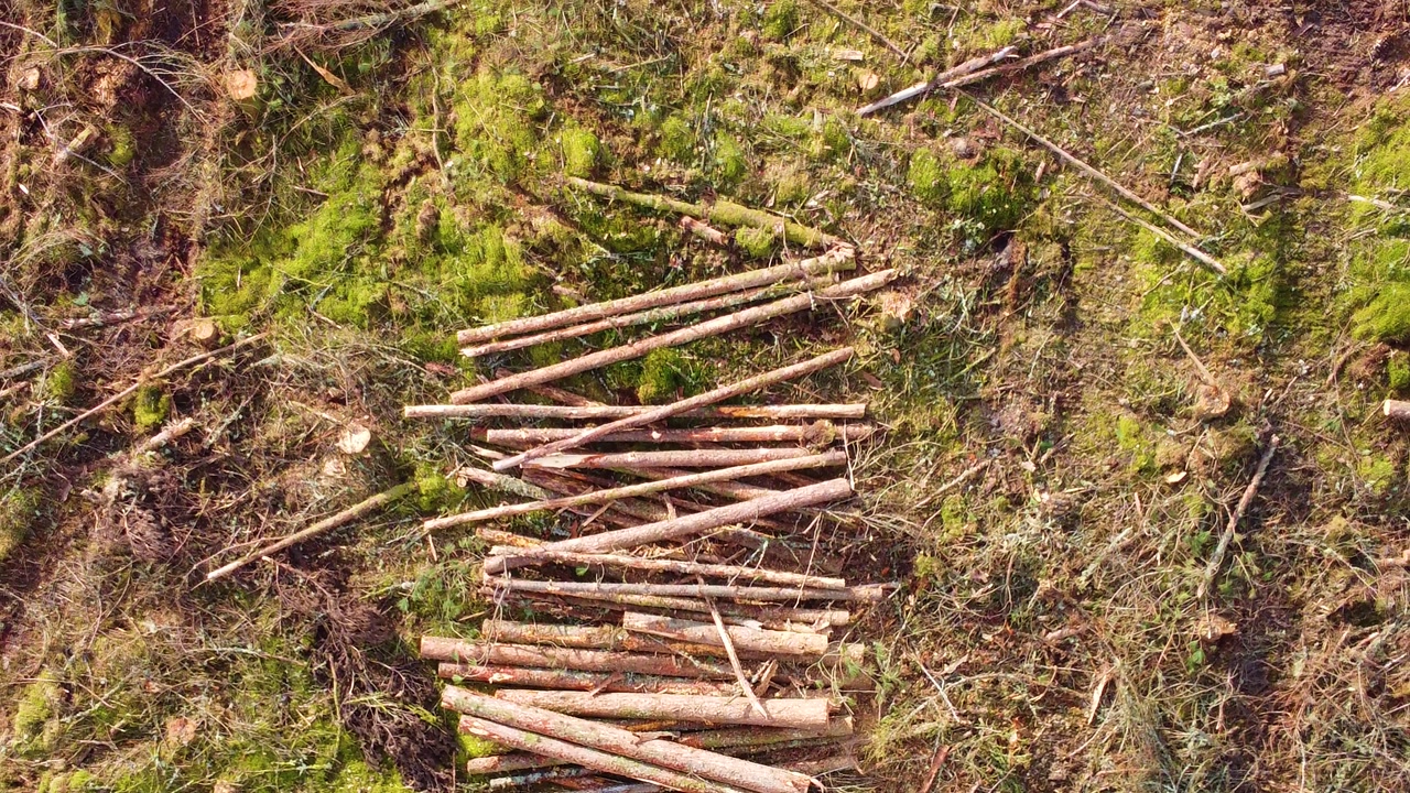 Rising Aerial Above Log Pile. Nature Cleared for Commercial Gain. Impact of logging and environmental desctruction. Climate change, industrial impact, environmental conservation.