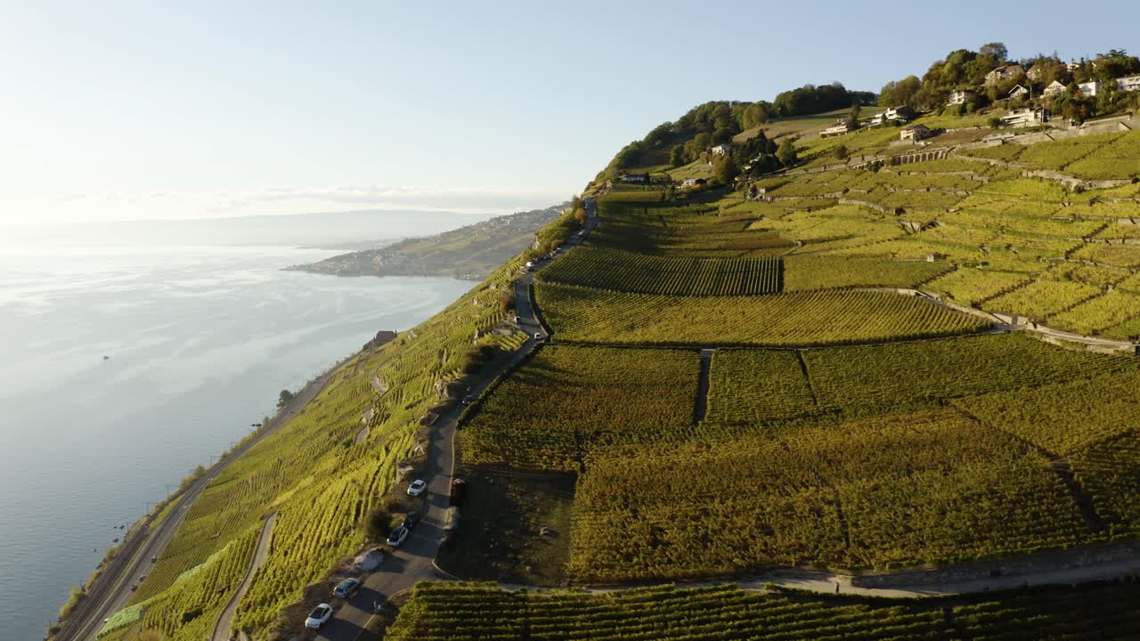 revelación aérea de la parte más empinada del viñedo de lavaux, colores otoñales y luz del atardecer rivaz, vaud - suiza