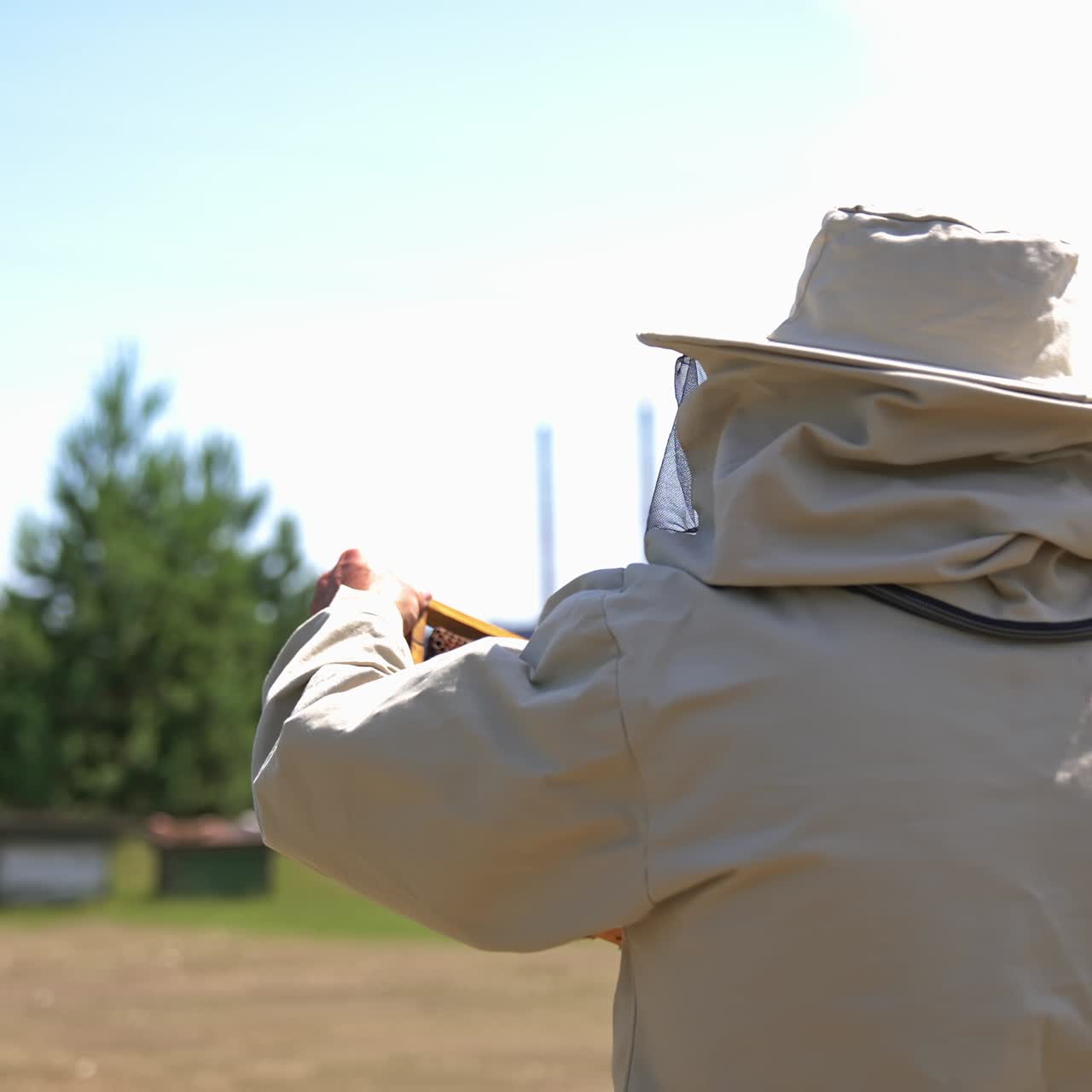 Focused serious man in protective hat holds a frame coated with bee family. Circle footage around a beekeeper checking honey frame. Nature backdrop