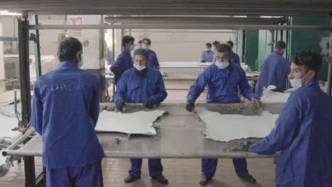 workers on the production line of a leather factory processing animal hides.