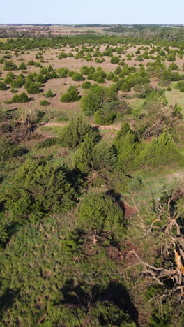 vertical drone shot over ripped forest, twister aftermath in sunny kansas, usa