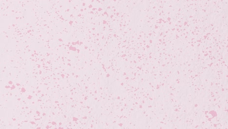 background video with transitions, of cloth and wall images.
