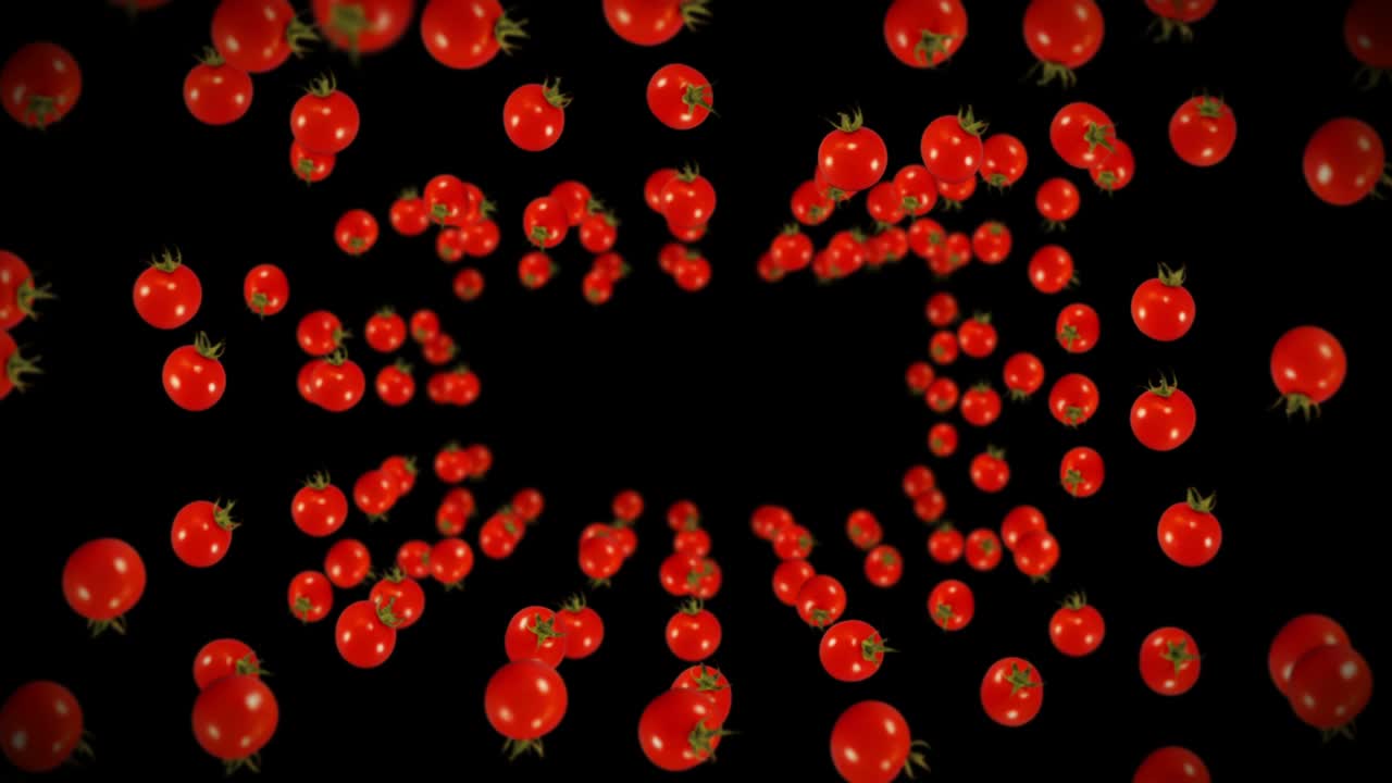검은색 바탕에 많은 신선한 토마토를 날아. 유기 채소. 익은 맛있는 체리 토마토. 토마토 회전의 3d 루프 애니메이션.