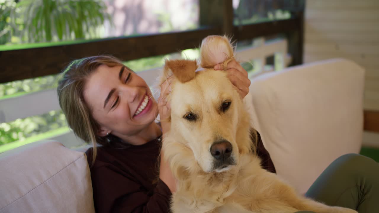 ⁇ 은 스웨터를 입은 금발 소녀의 초상화. 밝은 색의 큰 개를  ⁇ 고  ⁇ 고 있다. 자연에서 게이보의 소파에서 여가