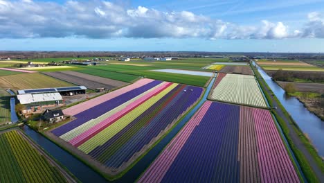 Landscape-aerial-of-bollensteek,-the-netherlands