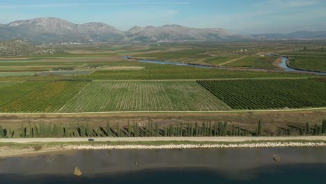 Bellas-Imágenes-De-Drones,-Naturaleza-Verde,-árboles-Y-Césped