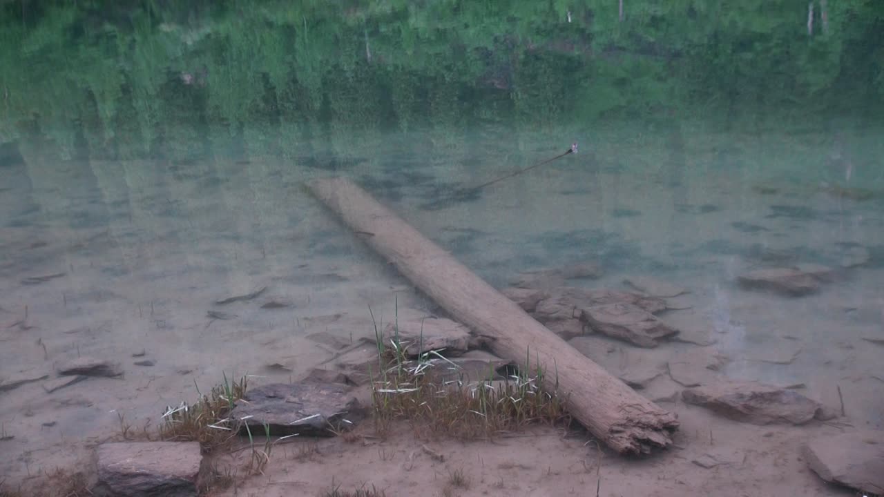 자작 나무 호수 또는 수중 숲으로도 알려진 카자흐스탄의 kaindy 호수