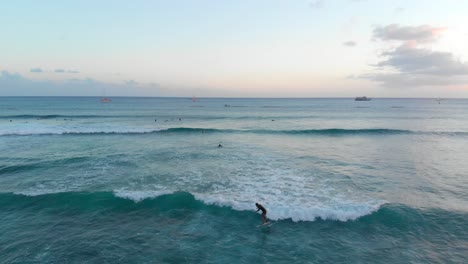 aerial tracking shot of hydro foil surfer at golden hour in hawaii