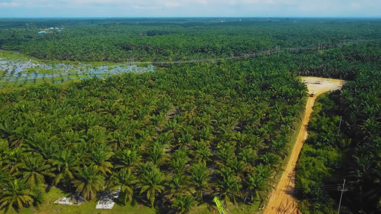 estructura cinematográfica de plataformas de perforación y reacondicionamiento en tierra y equipo de plataformas para la exploración y explotación de petróleo en medio de la jungla rodeada de palmeras durante la puesta de sol