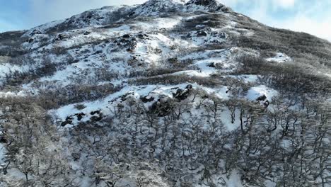 el avión no tripulado despegó en un bosque cubierto de nieve en patagonia.