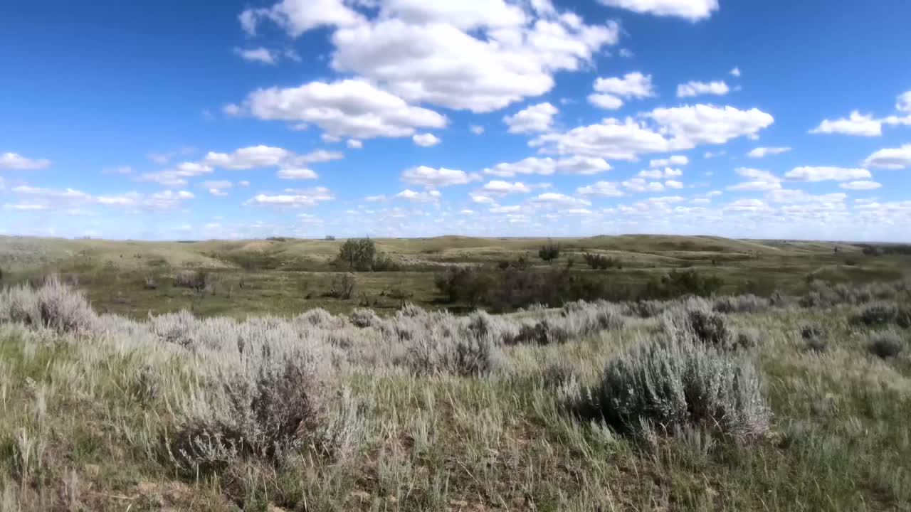 prairie country land en alberta, canadá en un día ventoso y nublado con vista de los campos hasta donde alcanza la vista