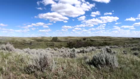 Prärieland-In-Alberta-Kanada-An-Einem-Windigen-Und-Bewölkten-Tag-Mit-Blick-Auf-Die-Felder,-Soweit-Das-Auge-Reicht