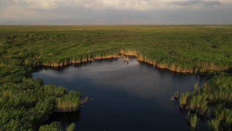 lake in the reeds aerial view