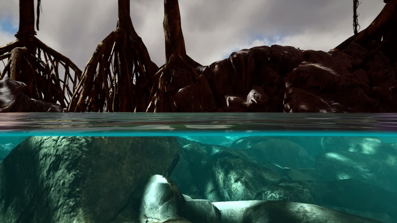 만그로브 나무 근처의 해수면 위와 해수면 아래