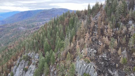 aerial drone footage panning to show aftermath of caldor wildfire near kyburz, ca