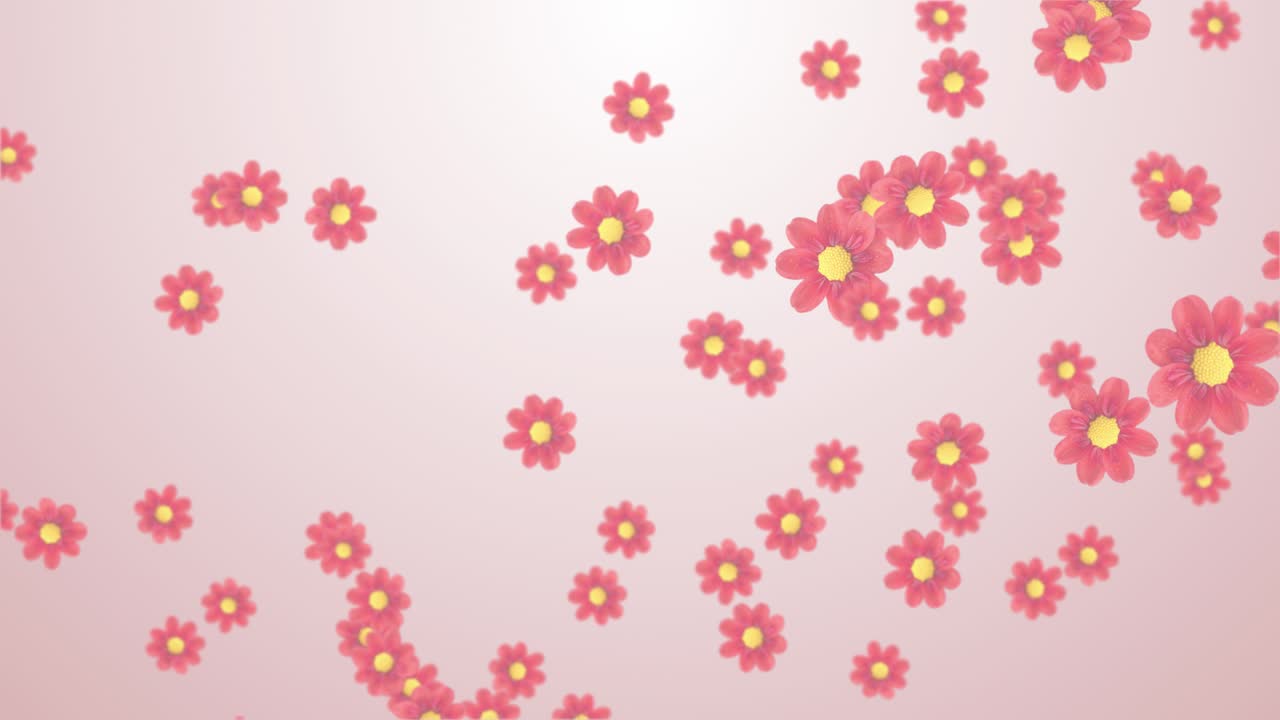 Yellow and red flower blooming in spring animation spinning and falling down beautiful concert