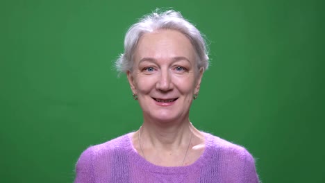 senior gray haired woman in violet sweater smiling gladly into camera isolated on green chromakey background.