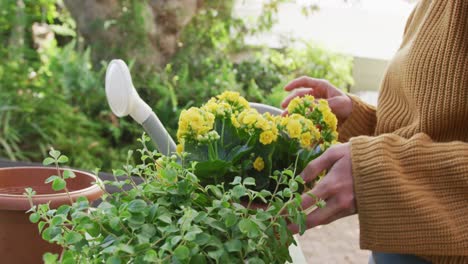 Midsection-of-caucasian-woman-repotting-yellow-flowers-in-sunny-garden