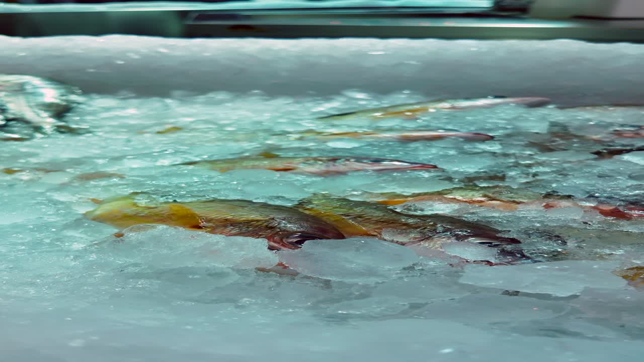 시장 에서 얼음 에 담긴 신선 한 물고기