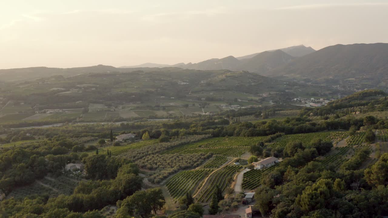 Paesaggio collinare nell'Europa meridionale, ricco di vigneti al tramonto