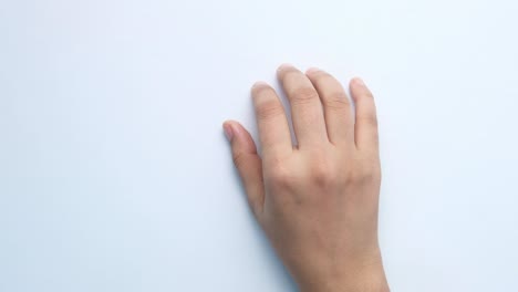 hand on a white background