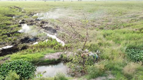 open fire near the dry tree at paddy field.