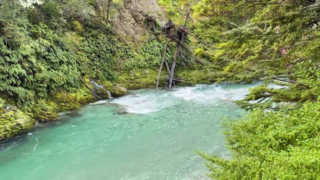 a steady camera captures a vibrant turquoise glacial river winding through lush, moss-covered forest with rocky banks under soft natural daylight