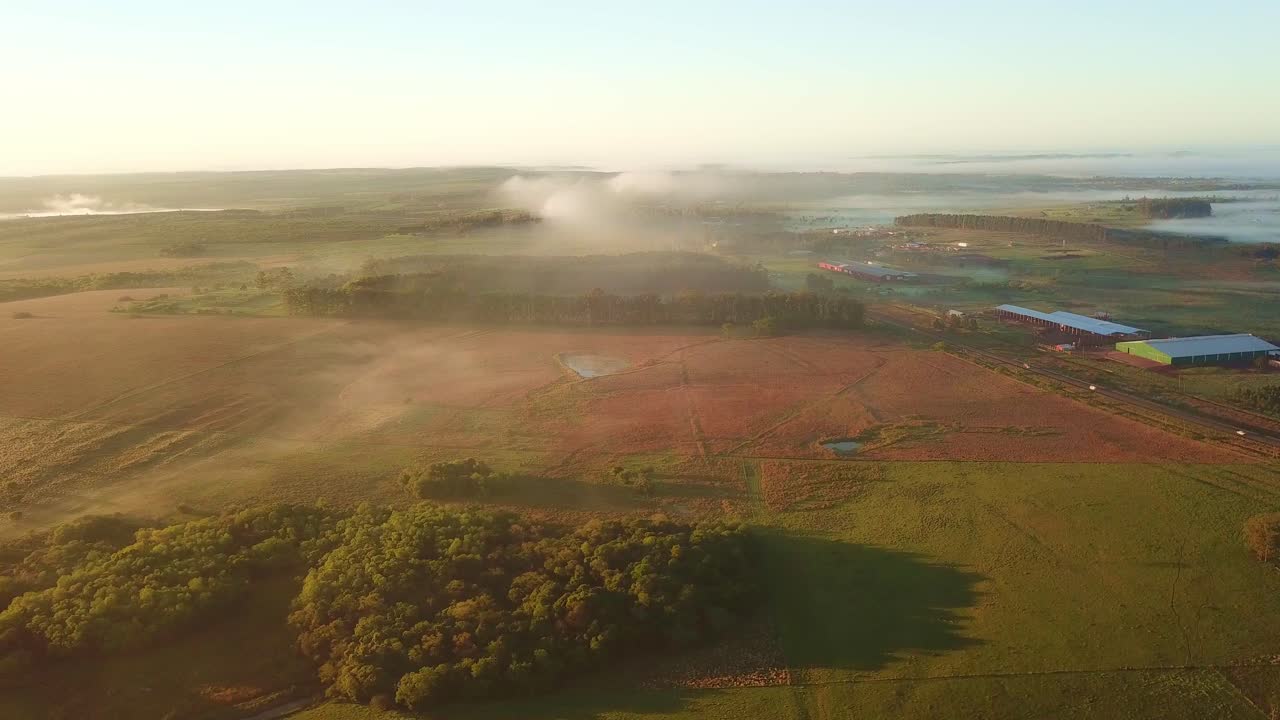 niebla matutina, pastizales, selva tropical y pinos justo después del amanecer