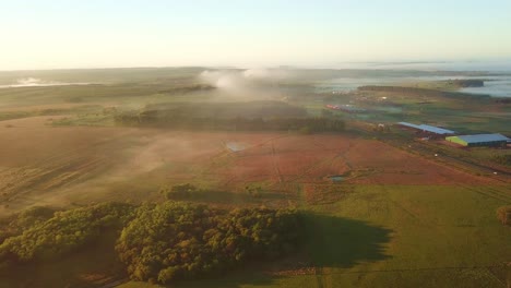 Early-morning-mist,-grasslands,-rainforest-and-pine-trees-just-after-sunrise