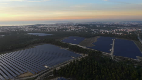 solar panel farm producing clean energy