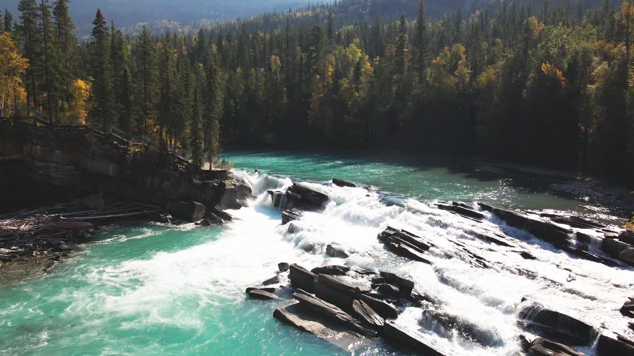 zoom aéreo panorámico a la izquierda en la toma de drones de caídas traseras que vuelan alrededor de los árboles hacia las cascadas en un día soleado de otoño en un entorno forestal y el río fraser