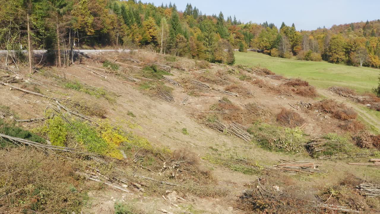 deforestación toma aérea de bosque destruido en eslovenia