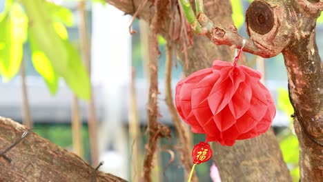 Red paper lanterns gently sway on tree branches in bright daylight, creating a festive atmosphere in Phuket, Thailand