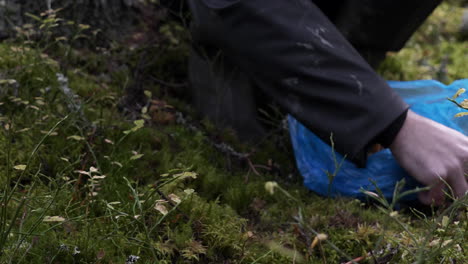 Caucasian-male-hands-gather-mushrooms-on-forest-floor,-close-up-shot