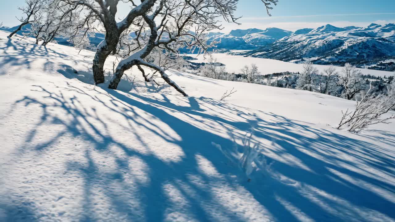 Lys vinterdag med snødekte trær og fjellvann