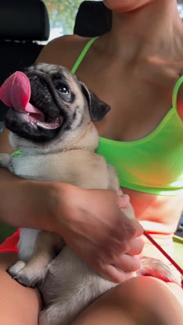 mujer sosteniendo un pug en un coche