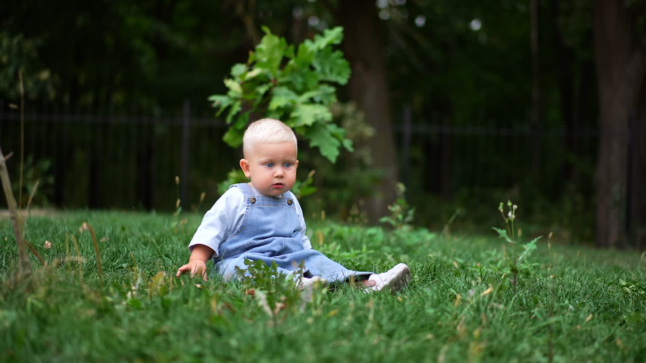 Beautiful baby boy with fair hair sitting in the green grass in summer. Lovely child picking some grass.