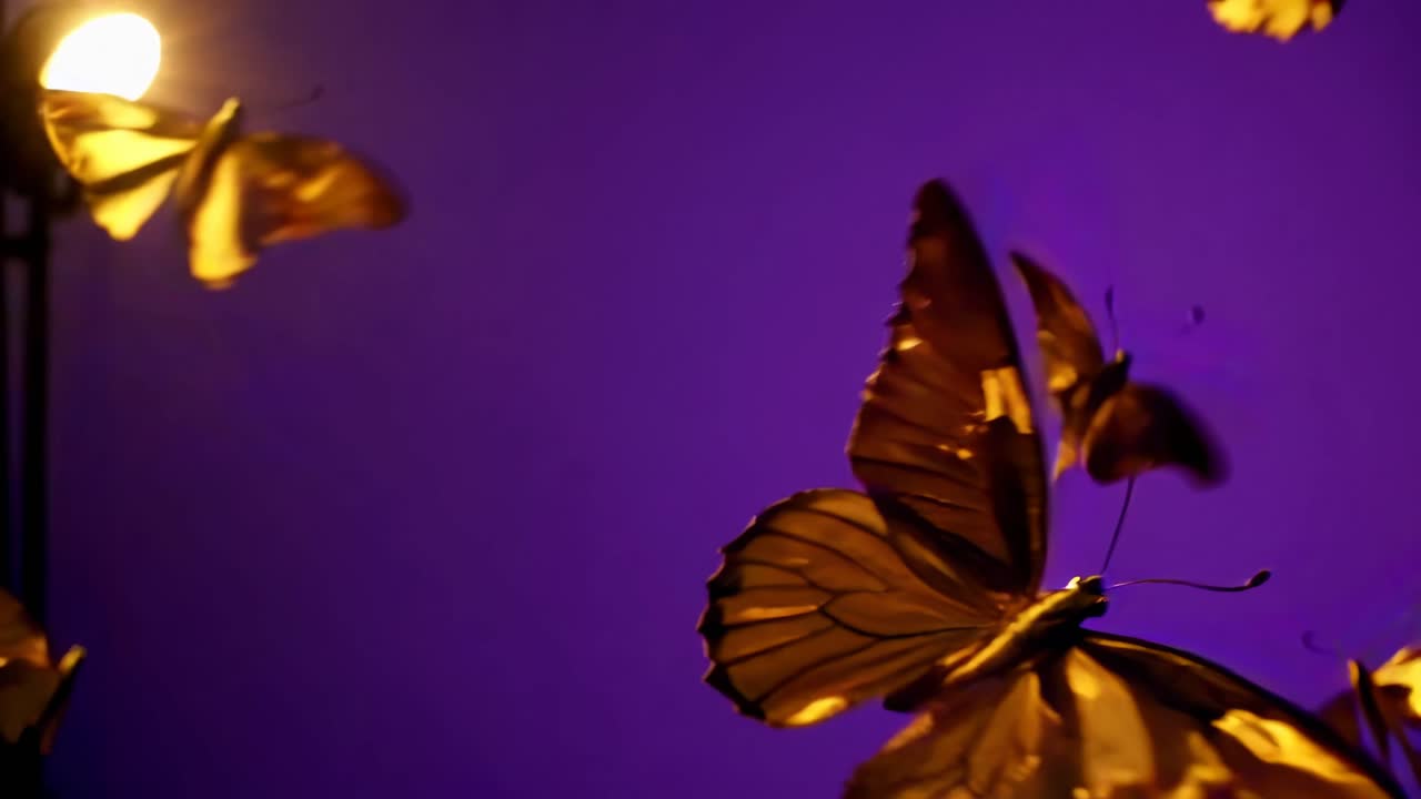 Un video ravvicinato riprende farfalle dorate in volo su uno sfondo viola.
