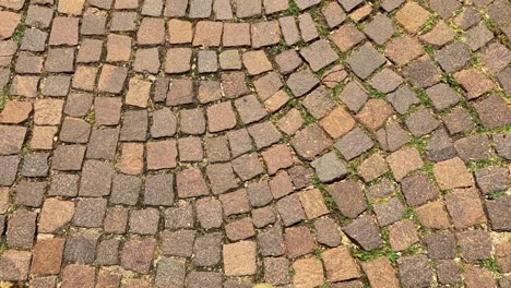 footsteps on cobblestone path in cuneo, italy