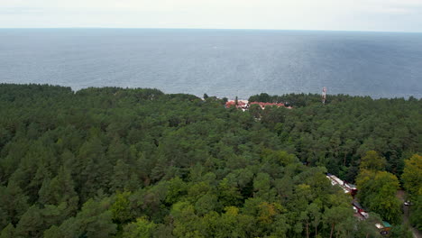 4K-drone-footage-of-forest-at-coast